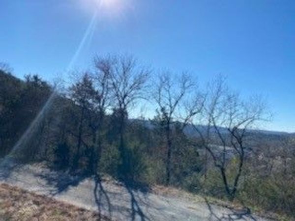 12 Lakeview Lane , Holiday Island, AR 72631