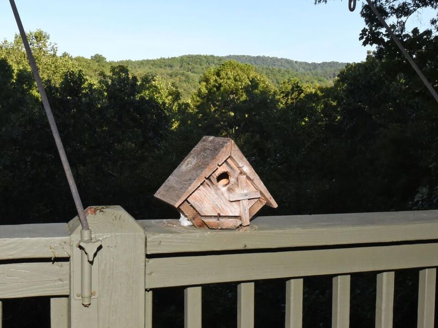 Property Image 37