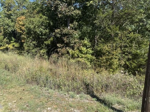 80 Wild Turkey Drive , Holiday Island, AR 72631
