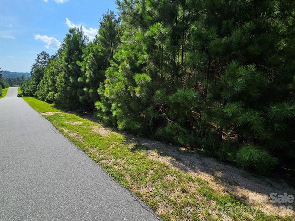 TBD Coveside Drive , Granite Falls, NC 28630