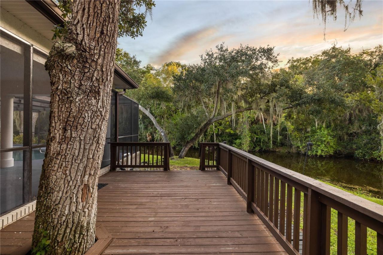 1330 Preservation Way, Oldsmar, FL 34677 Photo