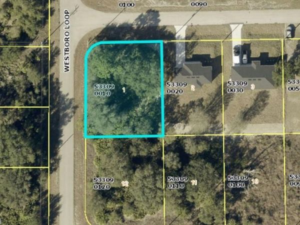719 TUNNEY STREET , LEHIGH ACRES, FL 33972