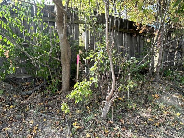 1962 McCartney Avenue, Ypsilanti, MI 48198