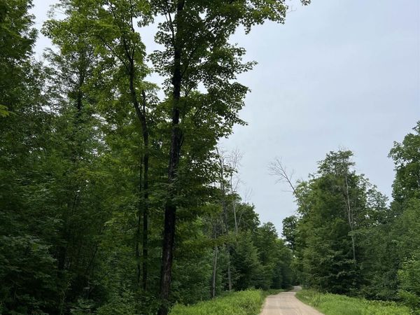 56730 Lantz Road, Felch Twp, MI 49834