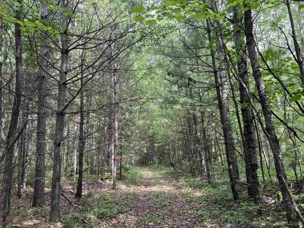 TBD Leeman Road, Felch Twp, MI 49831