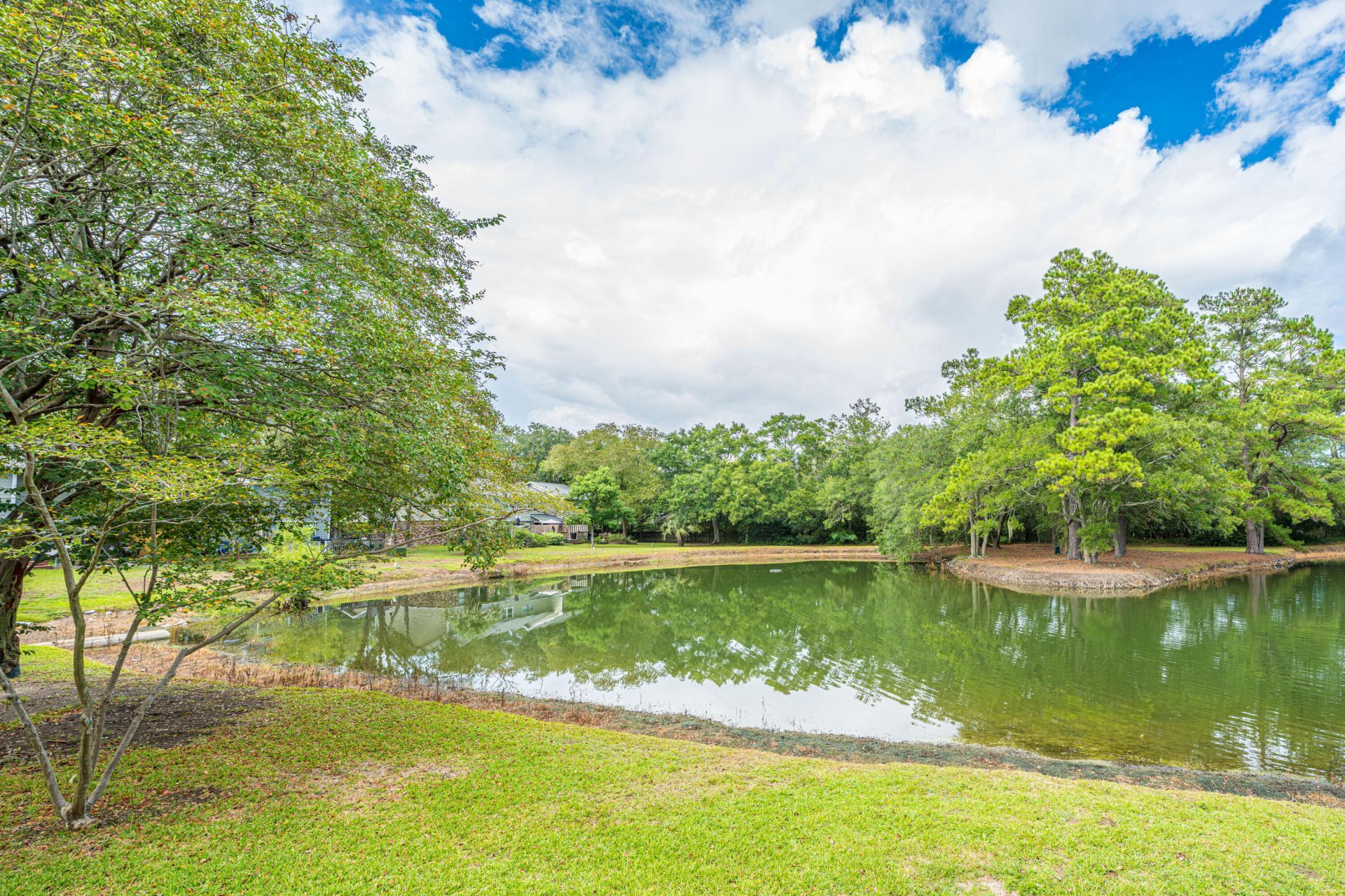1176 Julian Clark Road Photo 23