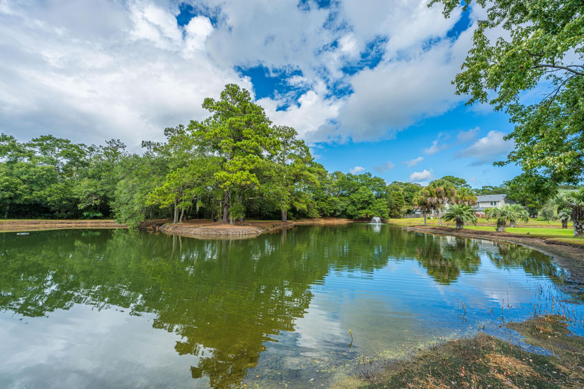 1176 Julian Clark Road Photo 25