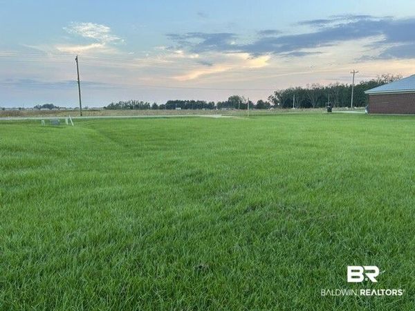 19585 E Silverhill Ave, Robertsdale, AL 36567