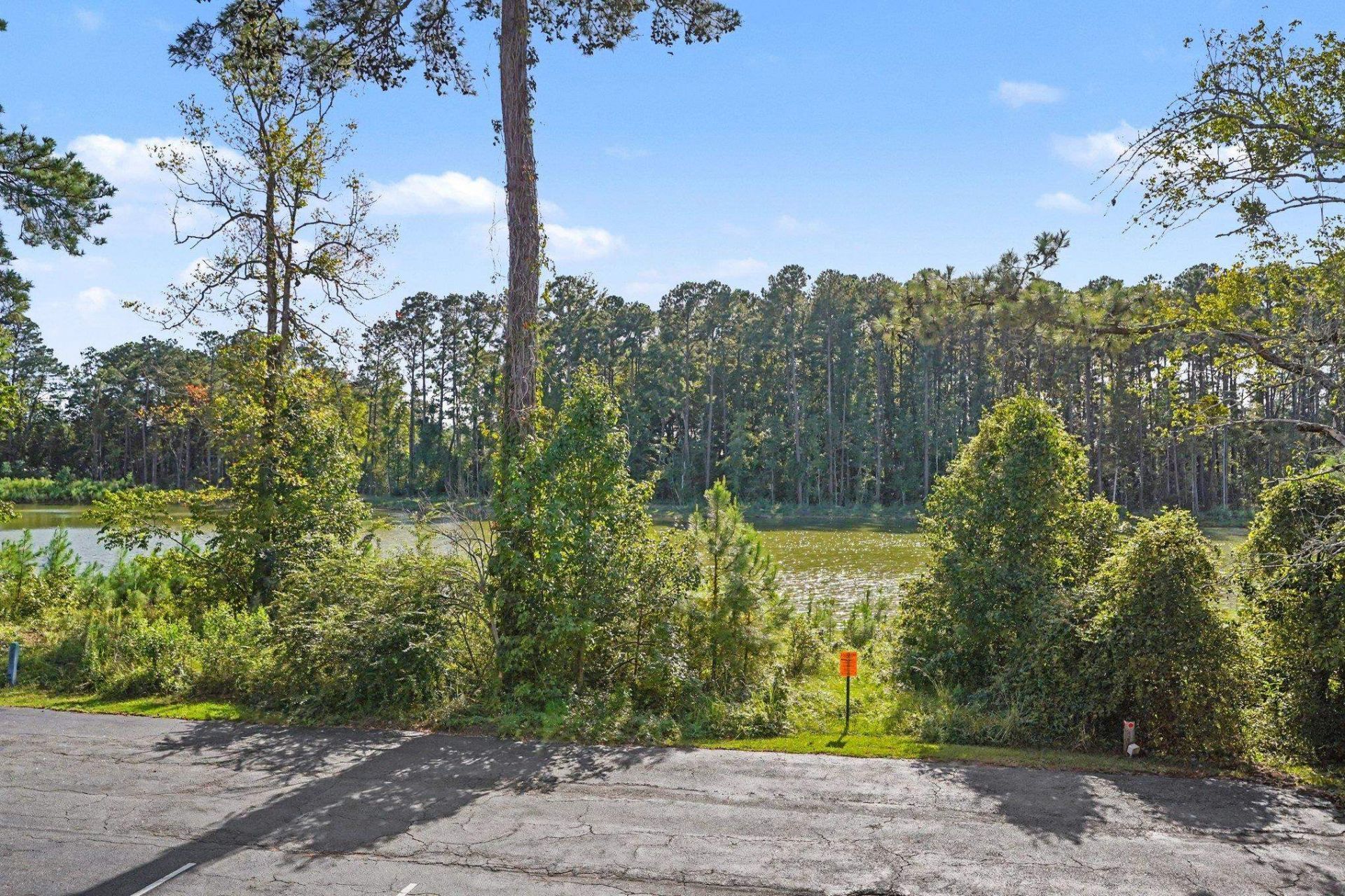 1025 Plantation Dr. W Photo 25