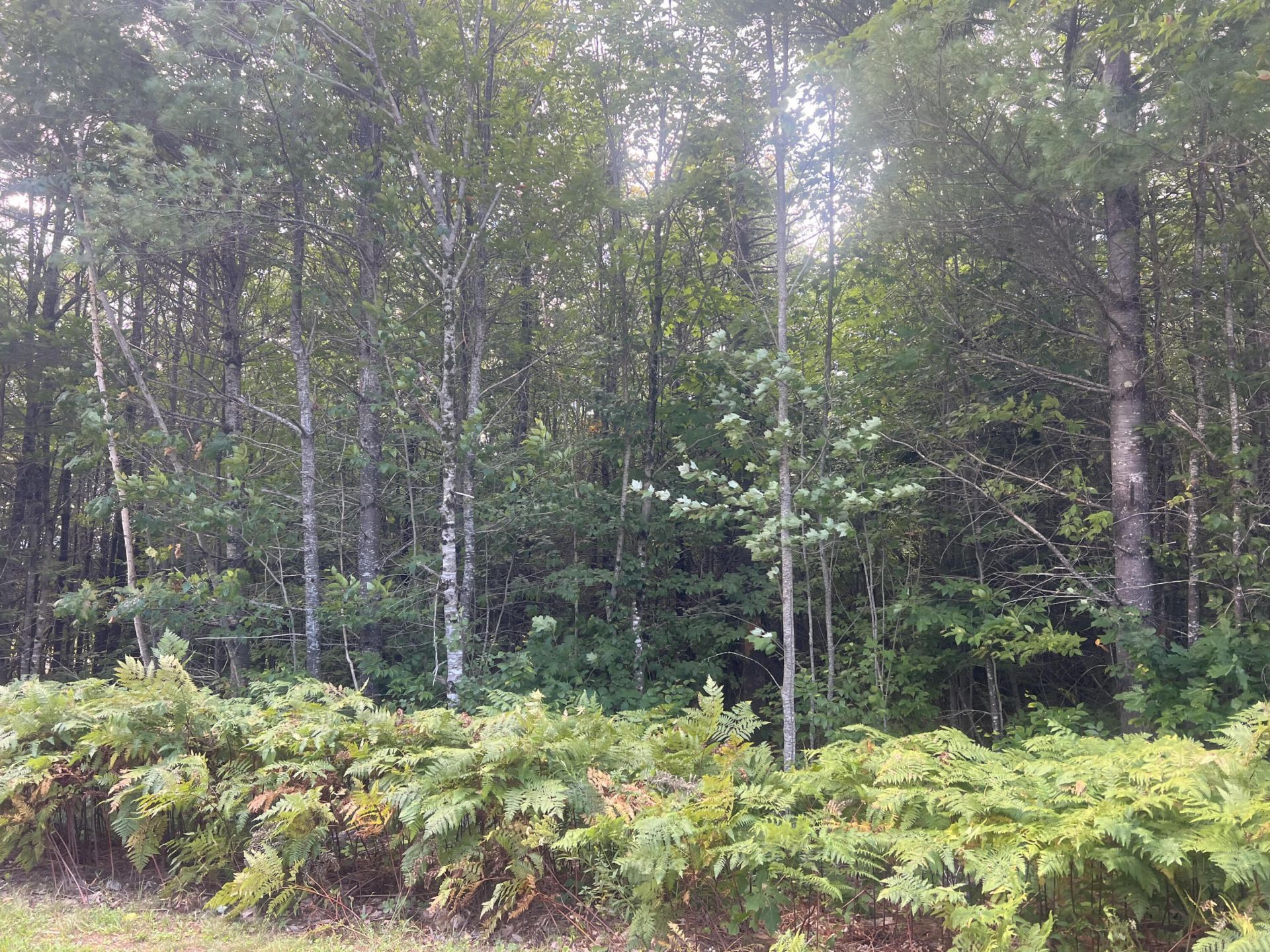 Lot 6 First Street, Bethel, ME 04217 Main Photo