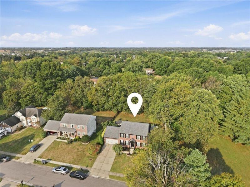 10001 Irish Way, Union, KY 41091 Photo 43