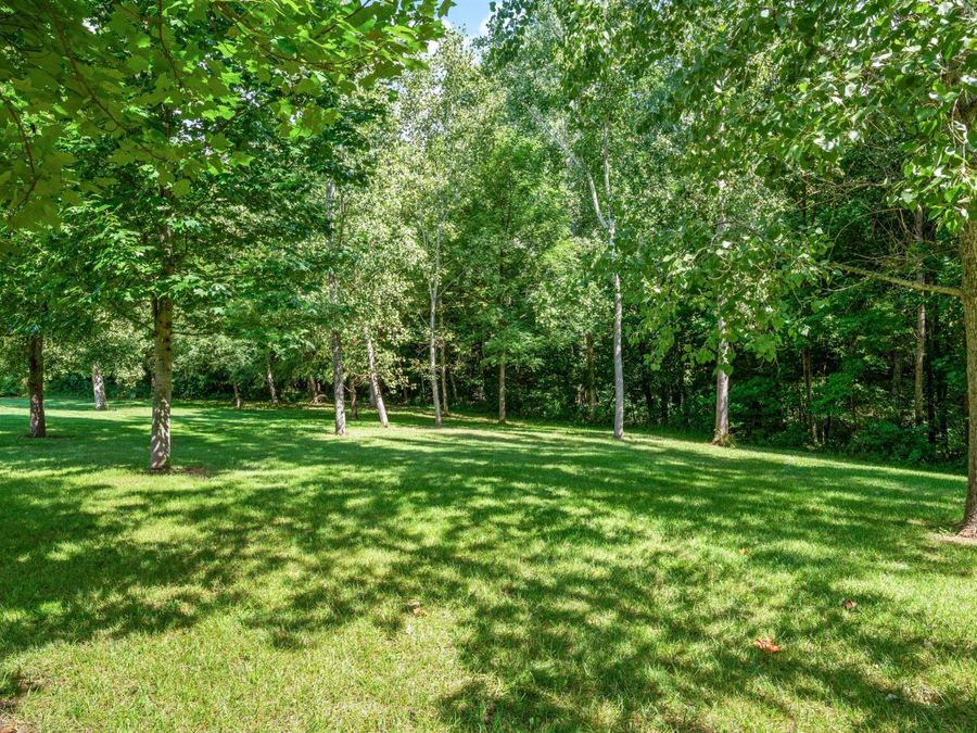 Property Image 73