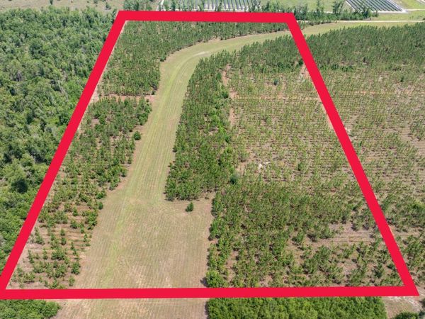 TBD 199TH PL, Live Oak, FL 32060