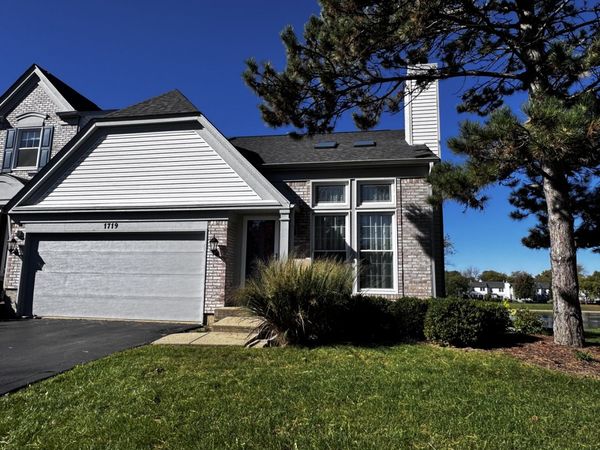 1719 Napoleon Drive, Naperville, IL 60565
