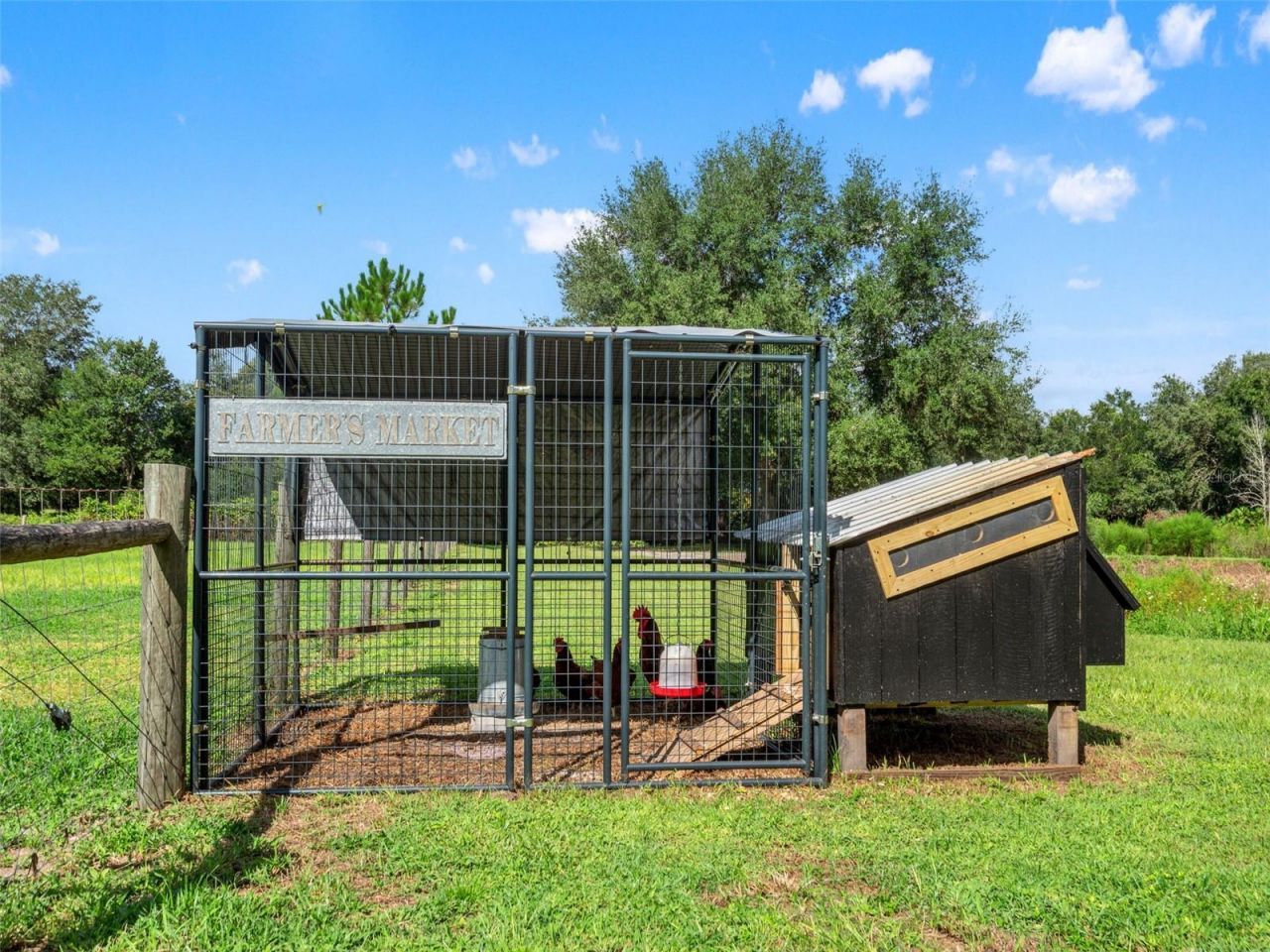 2827 Hammock Grove Rd , Groveland, FL 34736 Photo