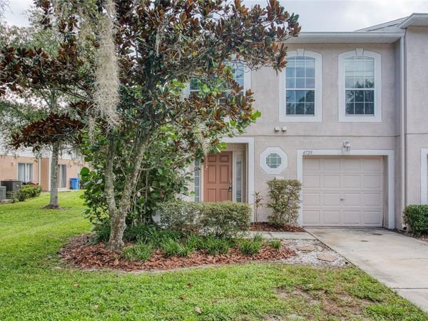 4729 ASHBURN POND WAY , TAMPA, FL 33610