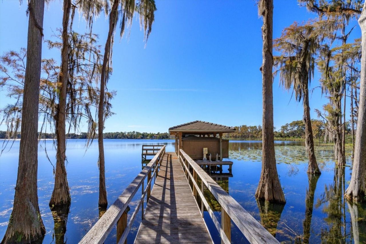5192 Vardon Drive, Windermere, FL 34786 Photo
