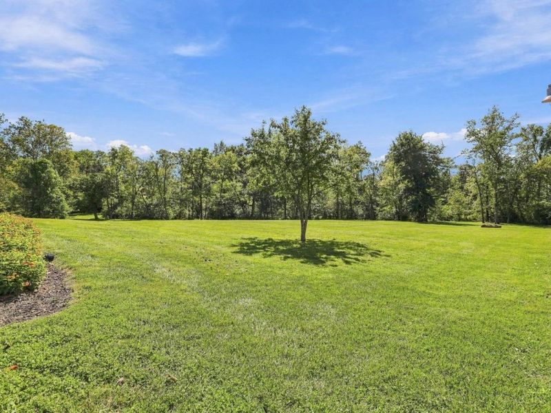 4162 Bardwell Buford Road, Green Township, OH 45154 Photo 33