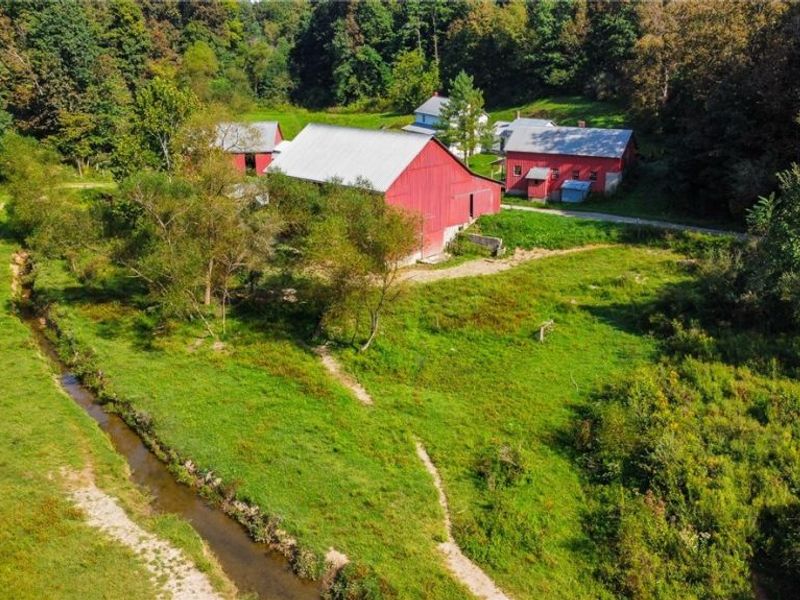 56176 Cline Road, Barnesville, OH 43713 Photo 11