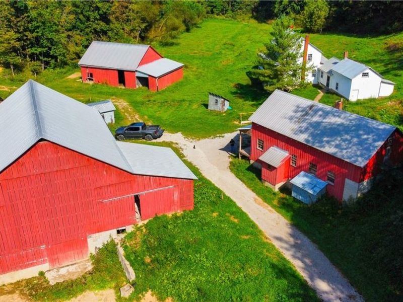 56176 Cline Road, Barnesville, OH 43713 Photo 12