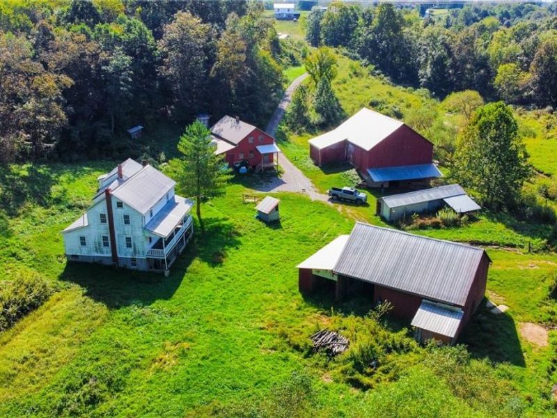 56176 Cline Road, Barnesville, OH 43713 Photo 17