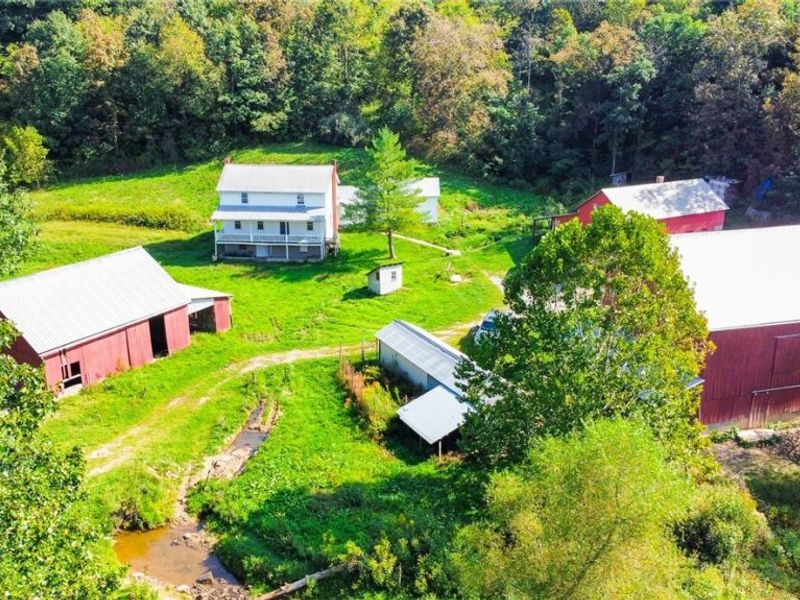 56176 Cline Road, Barnesville, OH 43713 Photo 20
