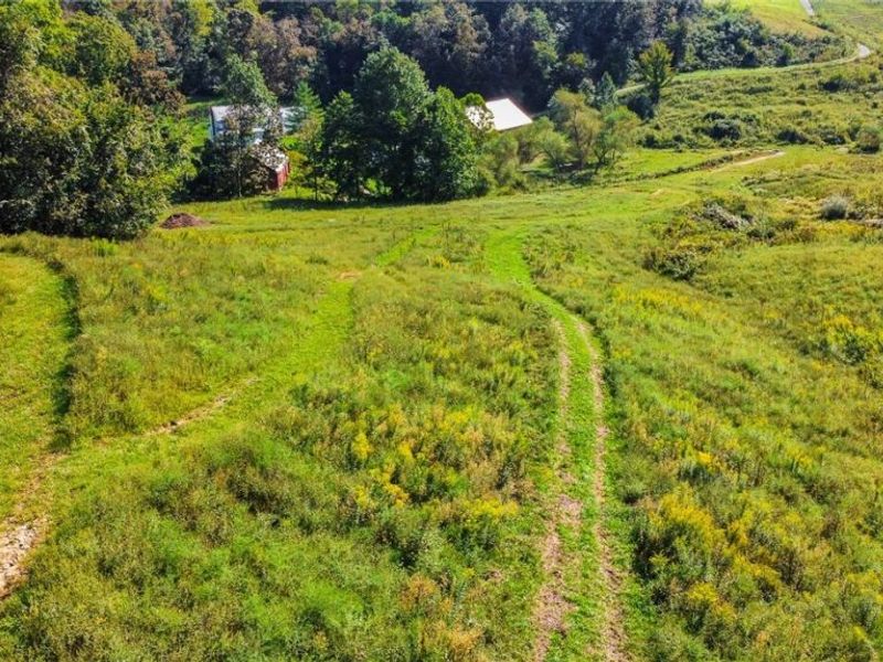 56176 Cline Road, Barnesville, OH 43713 Photo 21