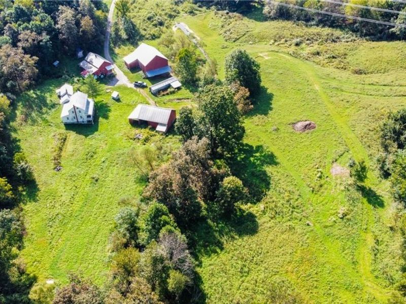 56176 Cline Road, Barnesville, OH 43713 Photo 26