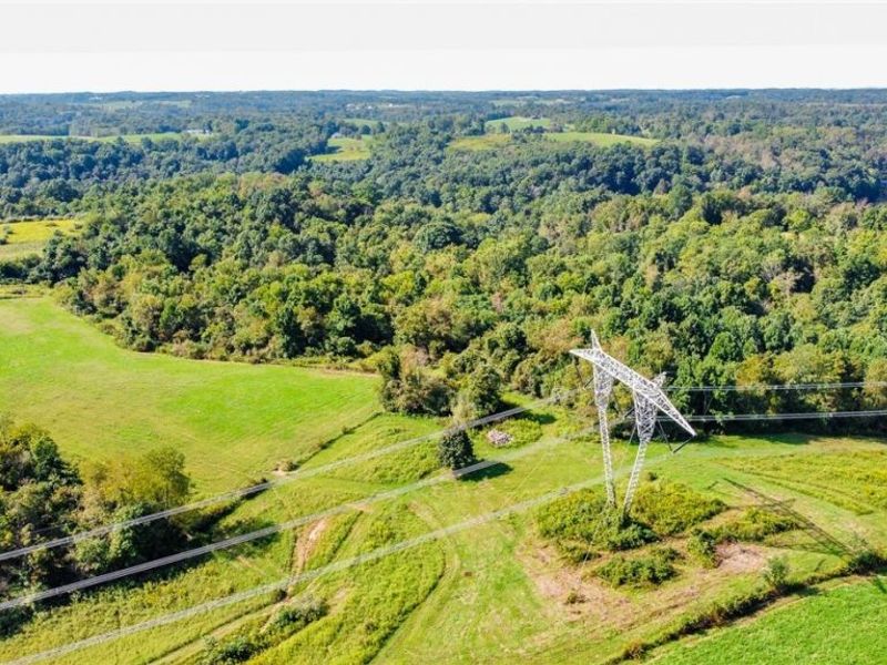 56176 Cline Road, Barnesville, OH 43713 Photo 27