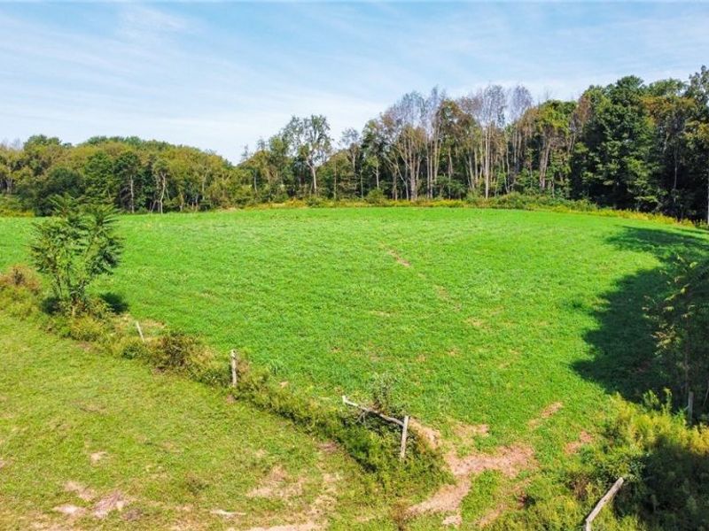 56176 Cline Road, Barnesville, OH 43713 Photo 3