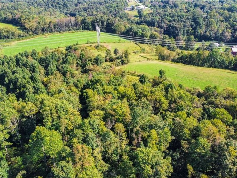 56176 Cline Road, Barnesville, OH 43713 Photo 6