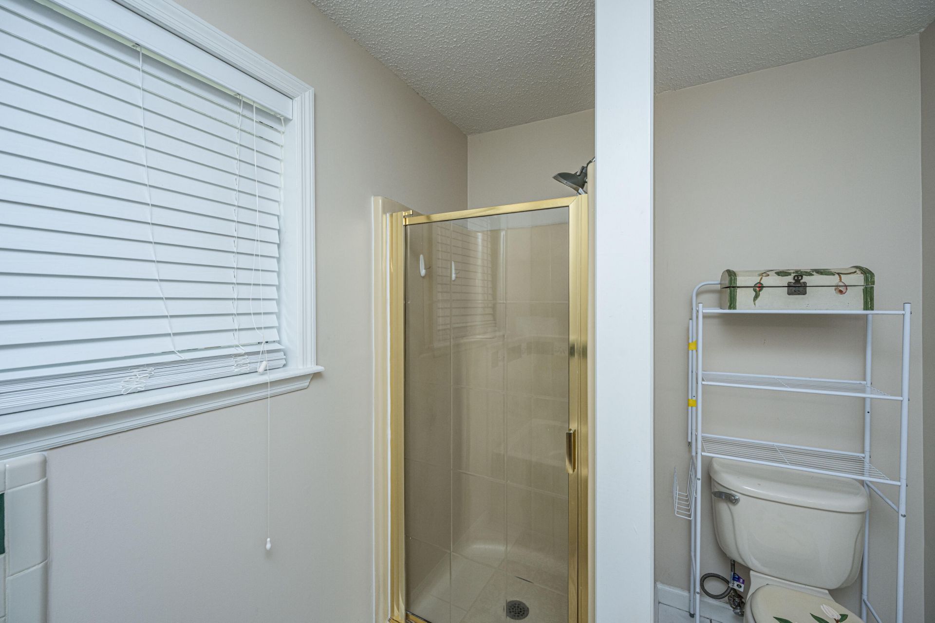 120 Trestlewood Drive Photo 25