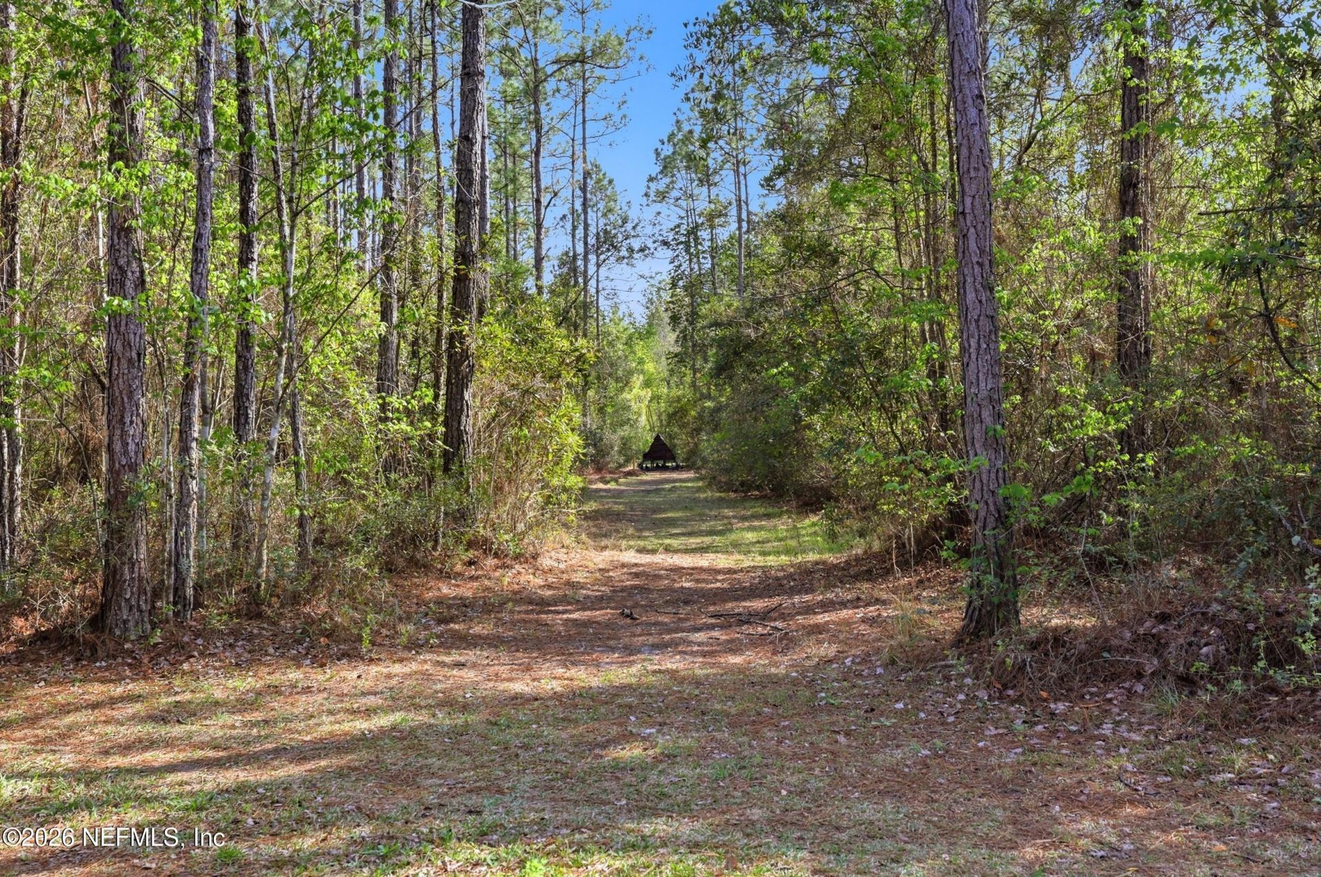 8796 Gin Henry Lane, Glen St. Mary, FL 32040 Photo