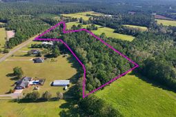 1612 Colts Neck Rd.  photo 4