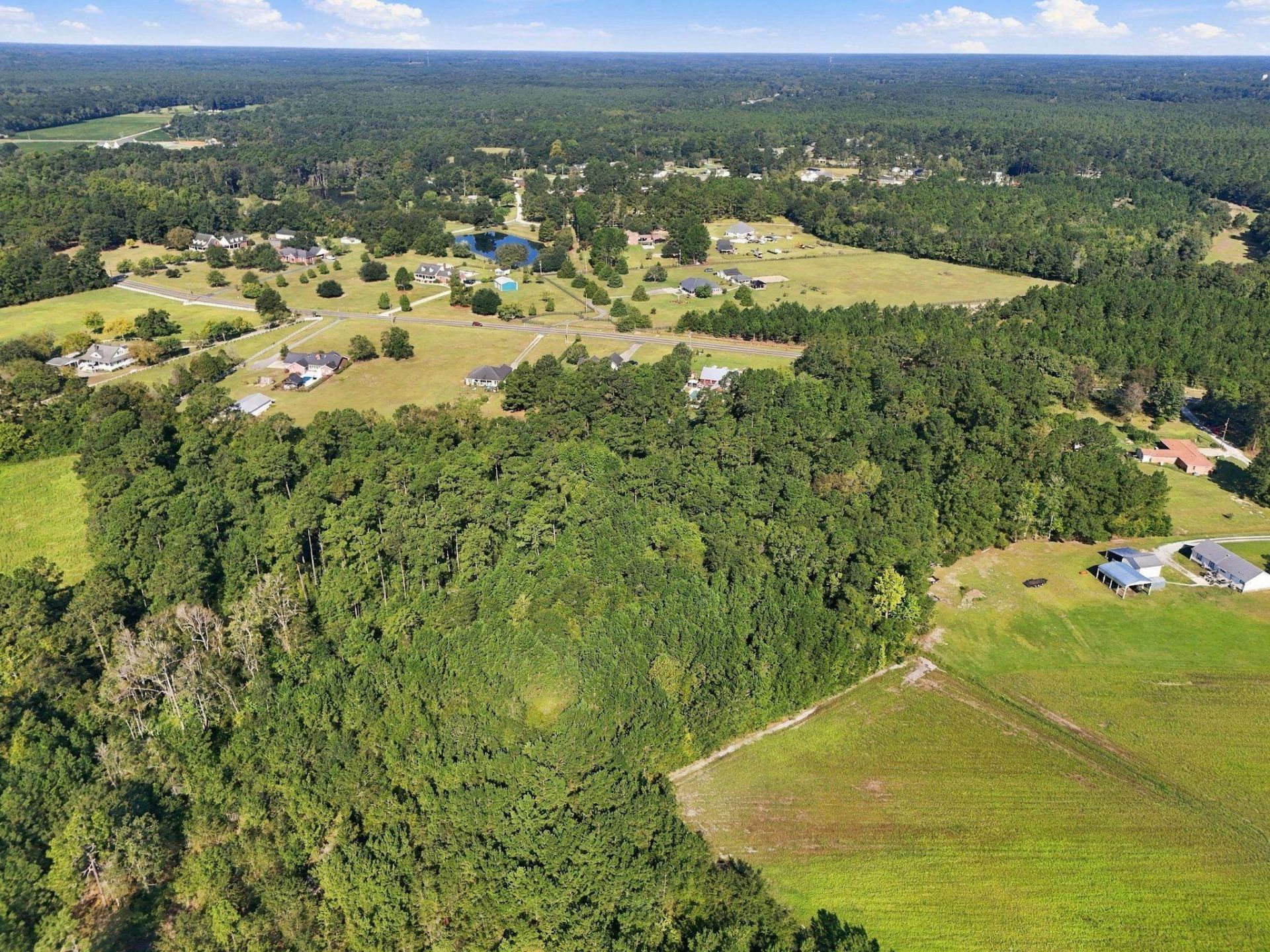 1612 Colts Neck Rd.  Photo 6