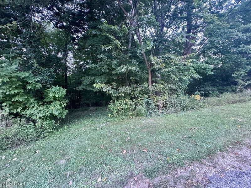 0 Tarkman Drive, Nashport, OH 43830 Photo 1