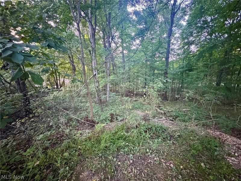 0 Tarkman Drive, Nashport, OH 43830 Photo 2