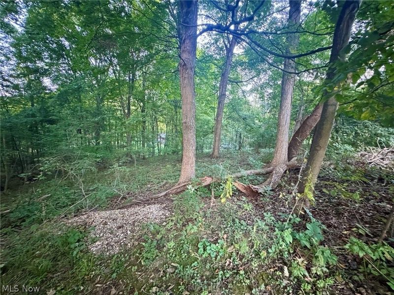 0 Tarkman Drive, Nashport, OH 43830 Photo 3