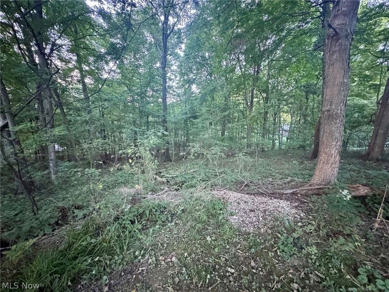 0 Tarkman Drive, Nashport, OH 43830 Photo 4