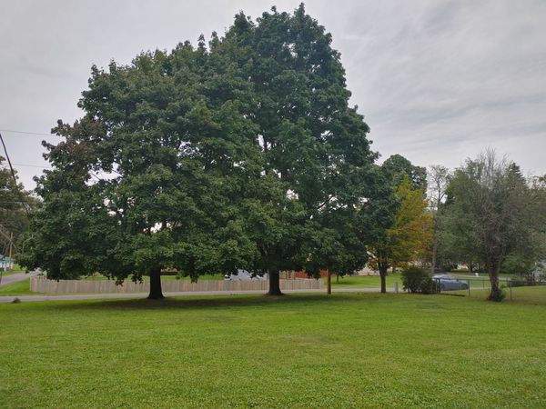 Lot 2 Pine Road , Genoa City, WI 53128