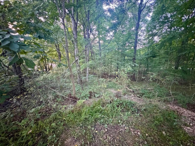 0 Tarkman Drive , Nashport, OH 43830 Photo 2