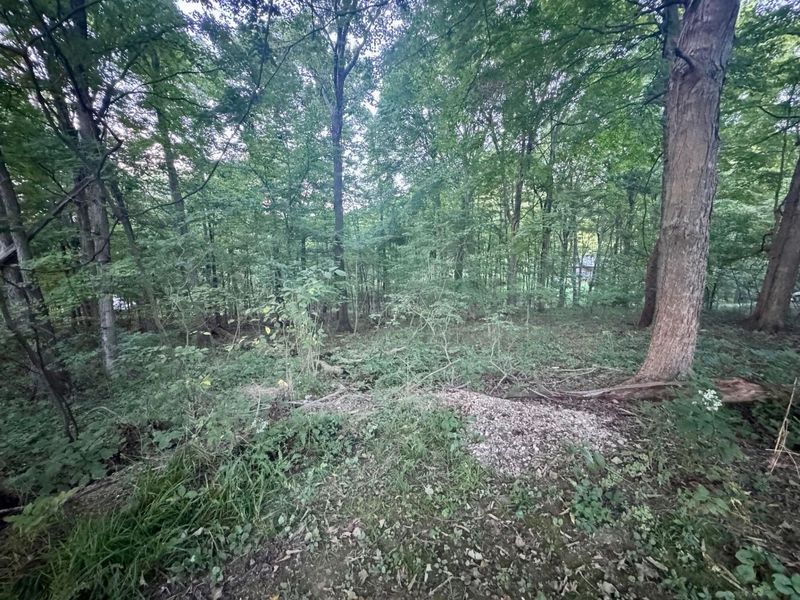 0 Tarkman Drive , Nashport, OH 43830 Photo 4