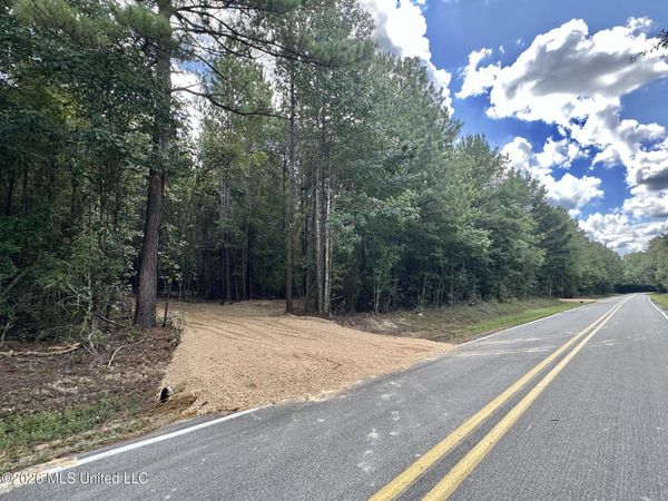 1 Clara Foote Rd, Braxton, MS 39044