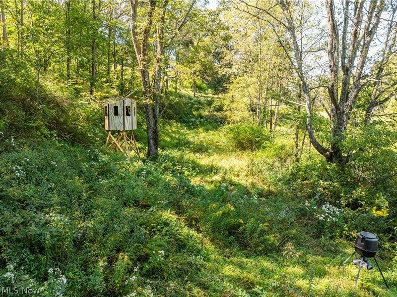 6470 Troendly Road SW, Stone Creek, OH 43840 Photo 3