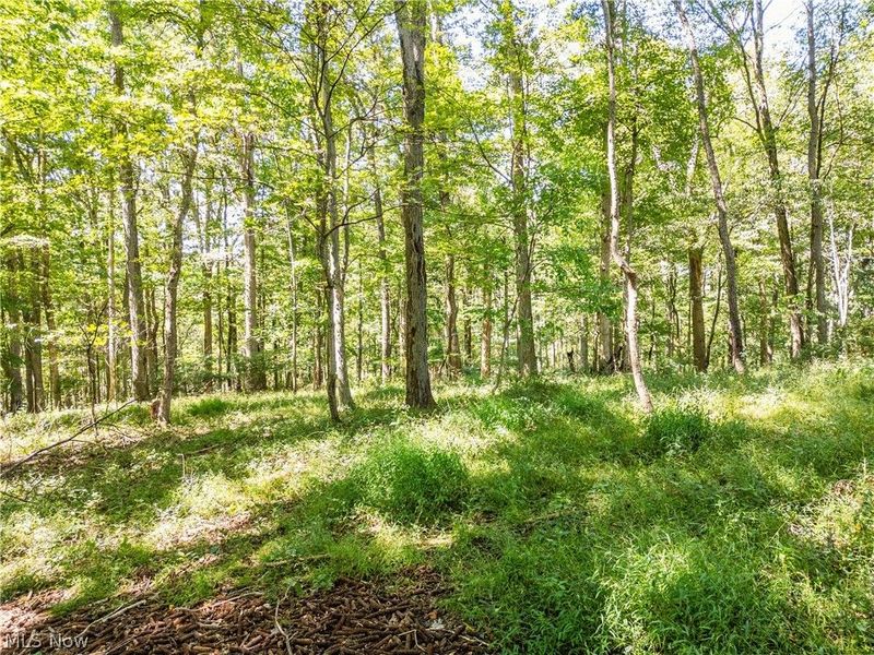 6470 Troendly Road SW, Stone Creek, OH 43840 Photo 38