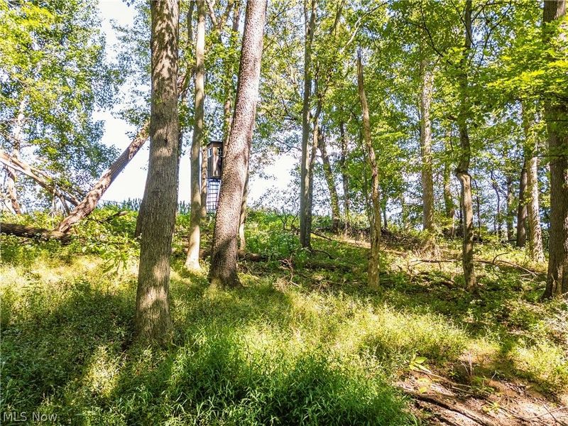6470 Troendly Road SW, Stone Creek, OH 43840 Photo 40