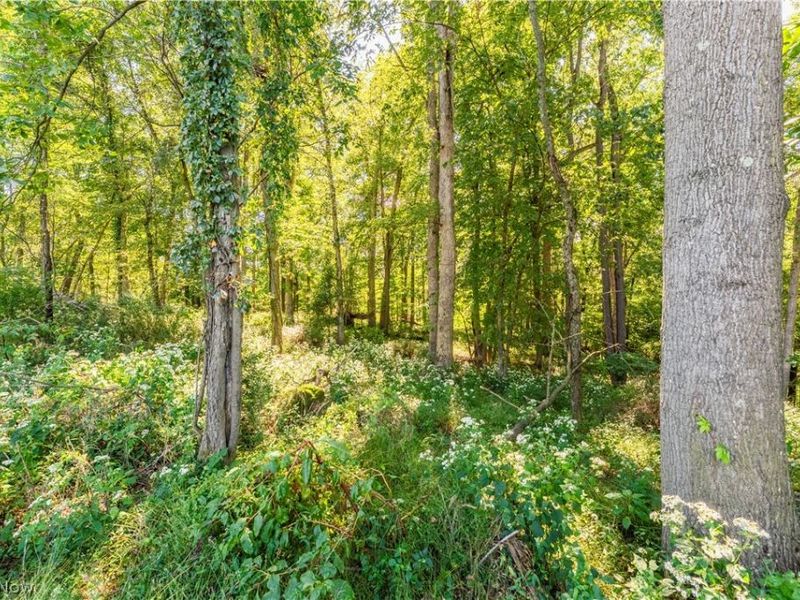 6470 Troendly Road SW, Stone Creek, OH 43840 Photo 6