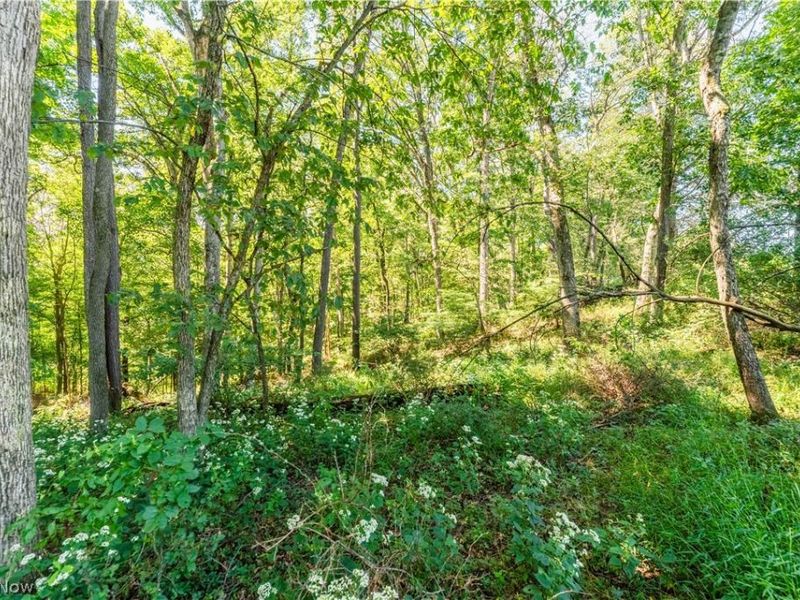 6470 Troendly Road SW, Stone Creek, OH 43840 Photo 7
