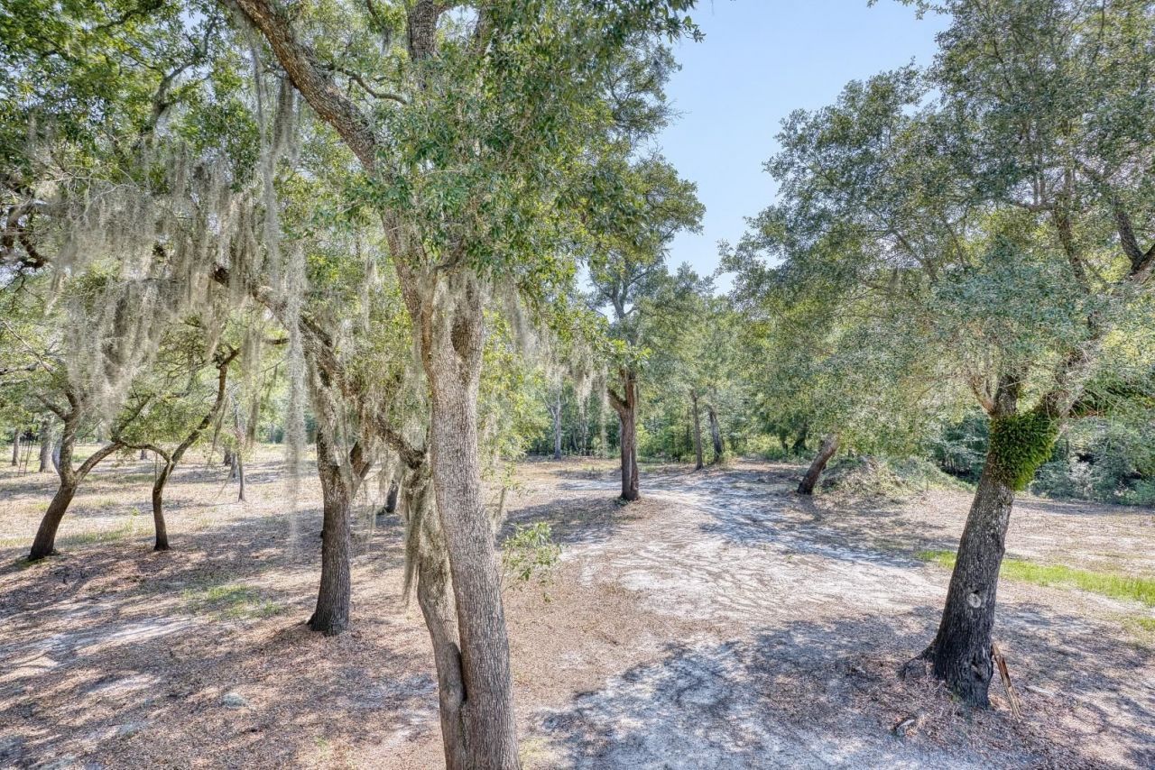 1250 Vera Rd.  Photo 30