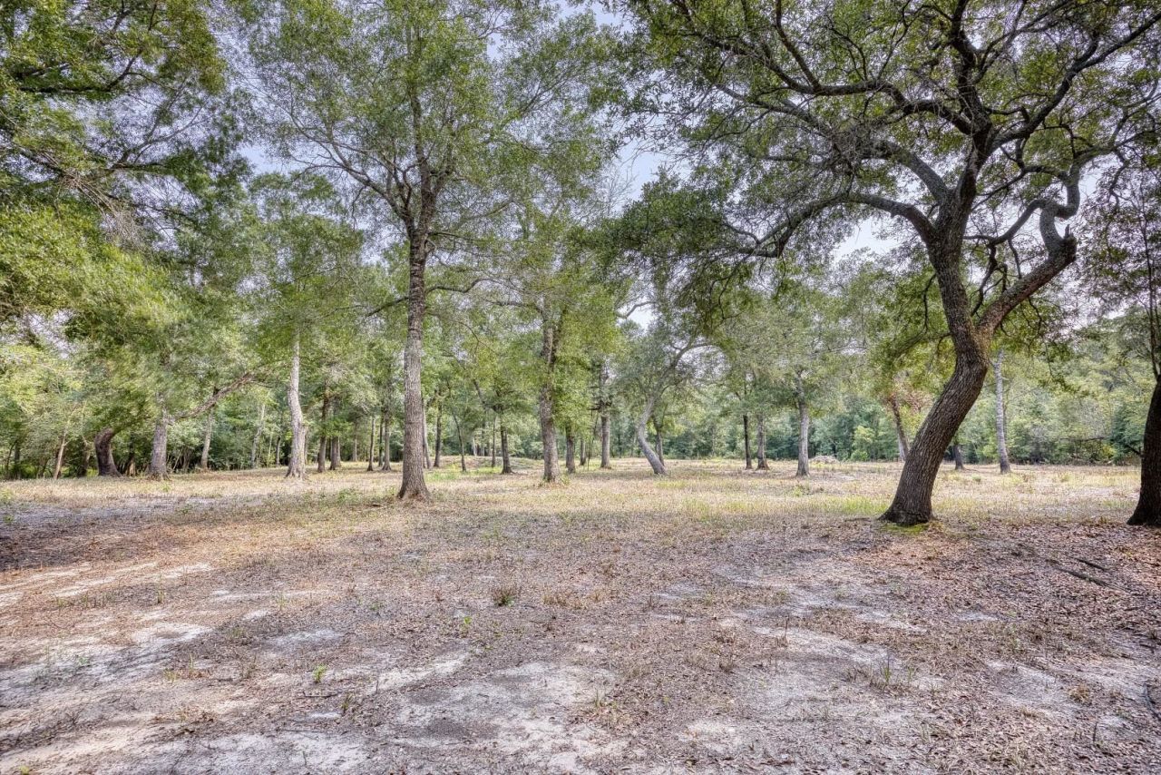 1250 Vera Rd.  Photo 36